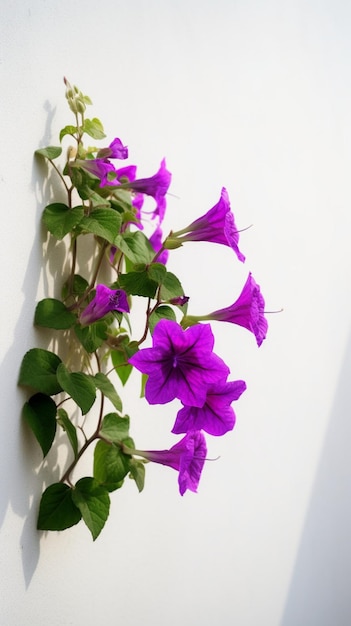 Purple flowers on a wall