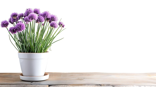 木製のテーブルの上にある白い鉢の紫の花