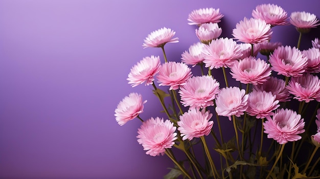 Purple flowers of Xerochrysum bracteatum everlasting or strawflower on soft purple Generative AI