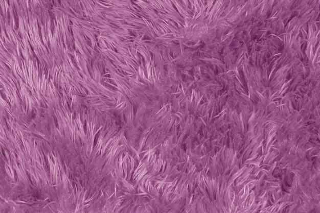 Purple fur texture with long pile