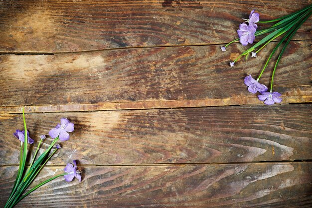 Purple Geranium Flowers on wood table with copy space