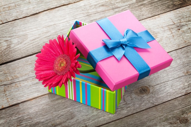 Purple gerbera flower in gift box