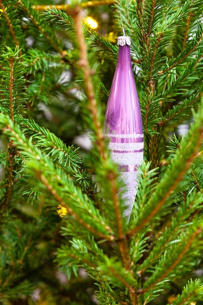 Photo purple glass icicle in twigs of christmas tree