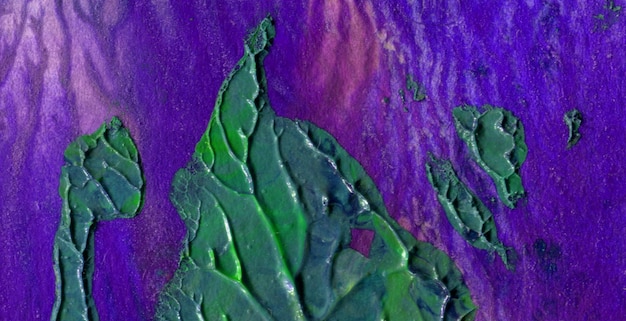 A purple and green leaf is shown on a purple background