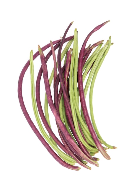 purple and green yardlong bean isolated on white background