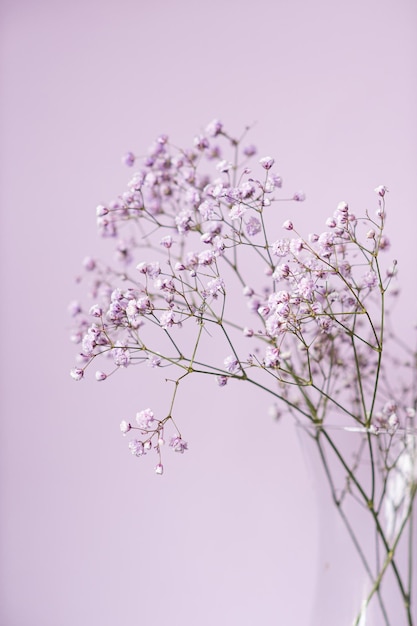 紫色のカスミソウの花が薄紫色の背景に花瓶に立つ