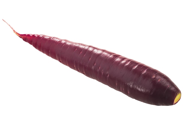 Purple Haze wortel Daucus carota penwortel met taps toelopende punt geïsoleerd