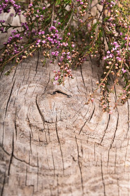 Fiori di erica viola sulla tavola di legno texture vintage