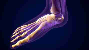 Photo a purple image of a human foot with the bottom showing the bottom of the lower limb