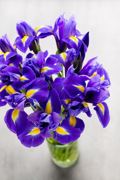 Purple iris flower vase,  on the background.