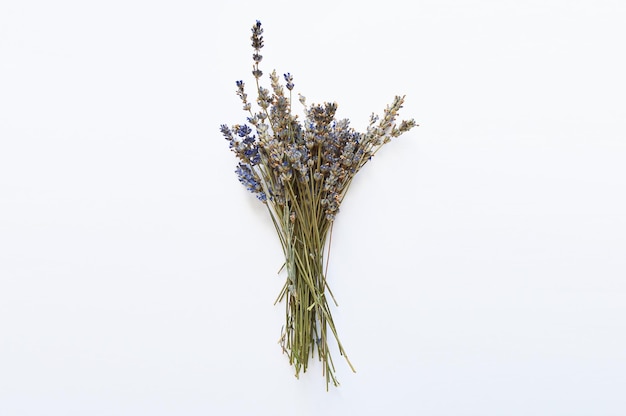 purple lavender bouquet on white background