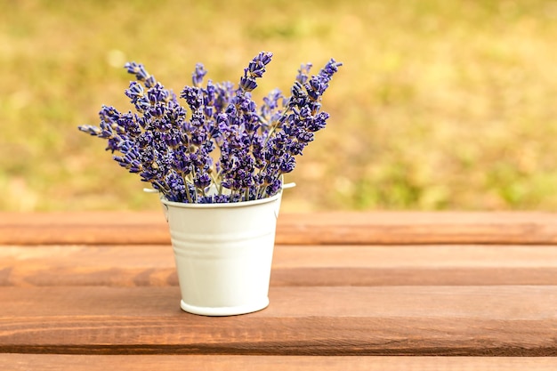 Purple lavender flowers collected in a white bucket