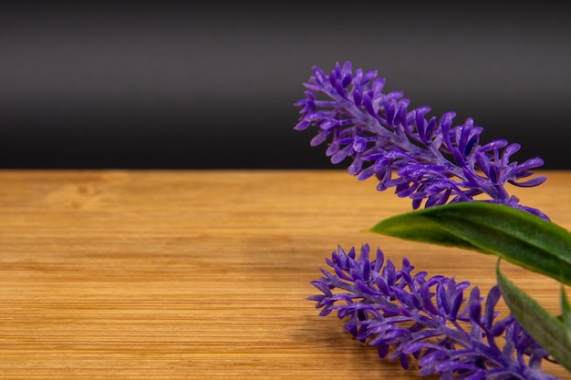 purple lavender plant with stem on wood board with black background