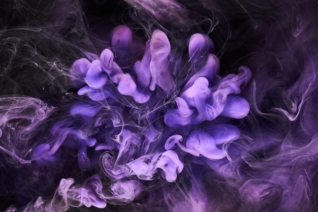 Purple lilac multicolored smoke abstract background acrylic paint underwater explosion