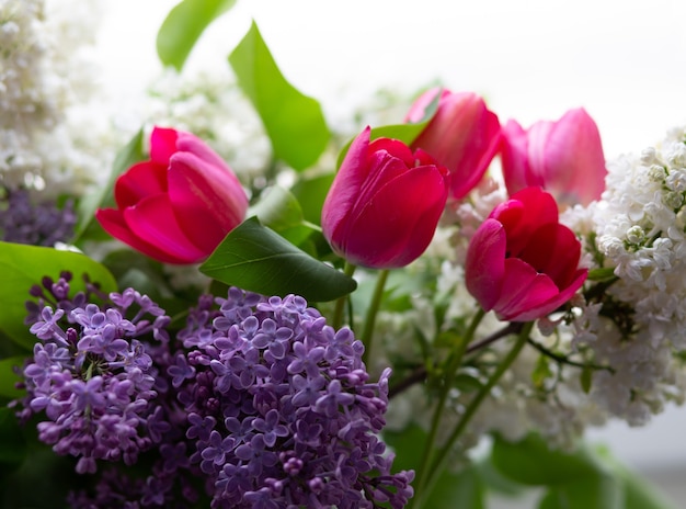 purple lilac and pink tulips