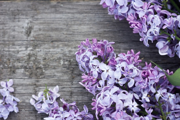 Purple lilac on wooden background, concept for the spring holidays