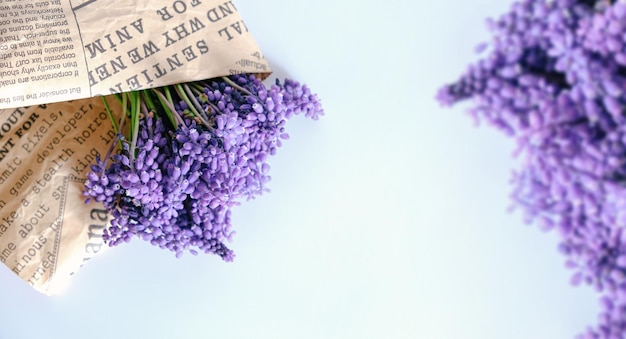 Purple muscari flower with an vintage newspaper on white background with copy space for text