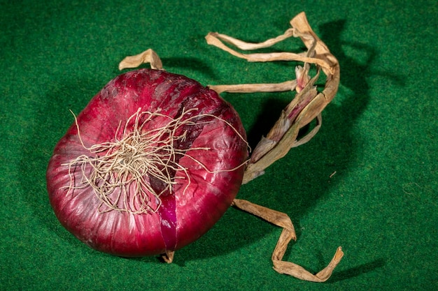 Purple onion close up on green background