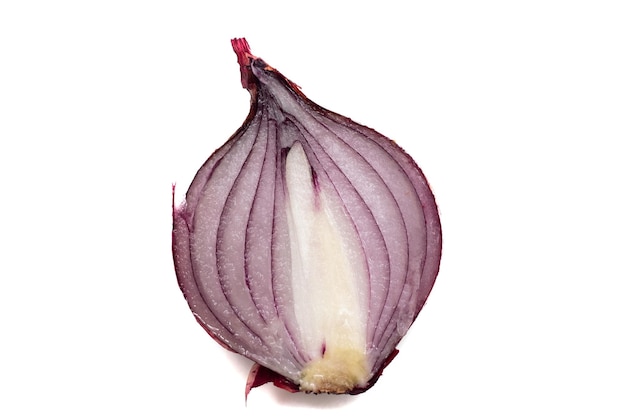 Purple onion in cut closeup isolate on white