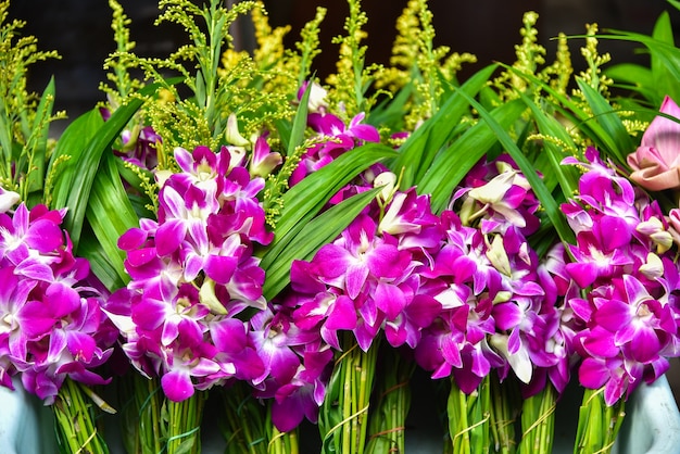 Purple orchid flowers at a Thai temple