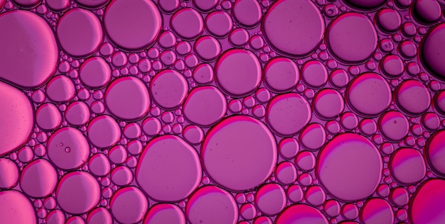 purple and pink circles with a pink background