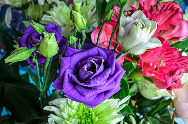 purple pink and white flowers closeup