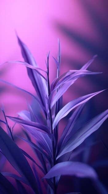 Photo a purple plant against a pink background