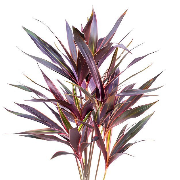 Photo a purple plant with purple and red leaves is shown