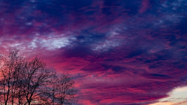 A purple sky with clouds