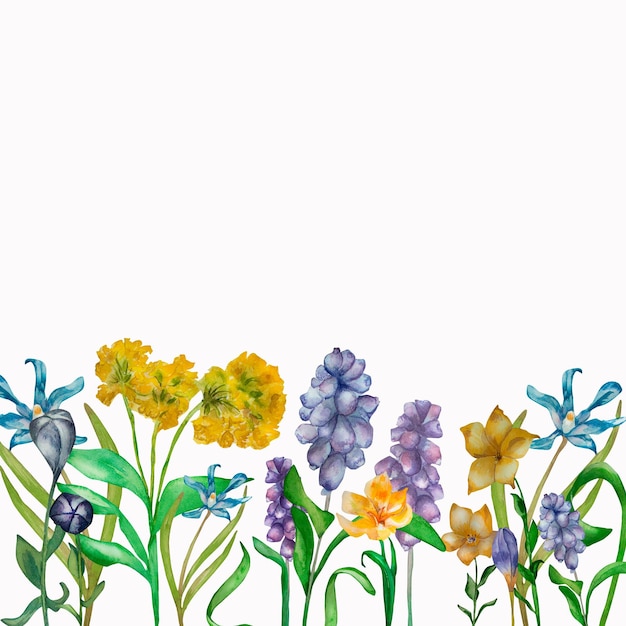 Purple spring flowers yellow watercolor composition isolated