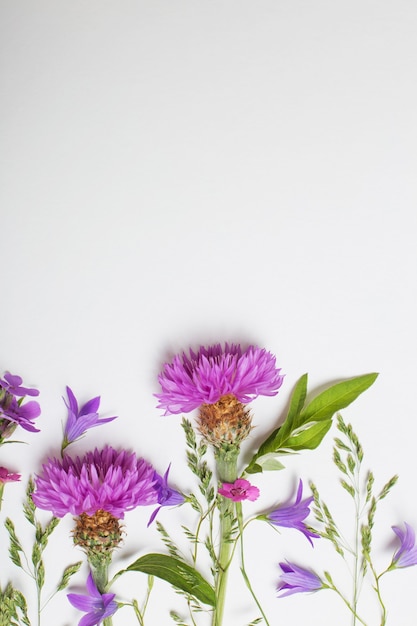 Purple summer flowers on white surface