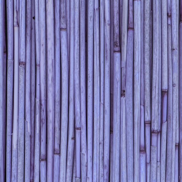 Purple Texture of reeds or bamboo for background