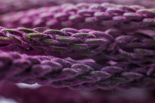 A purple threads close up under the microscope background