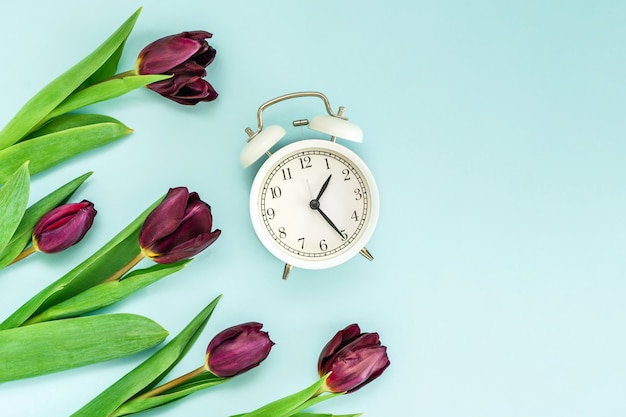 Purple tulips and an alarm clock on a blue background. Top view and space for text