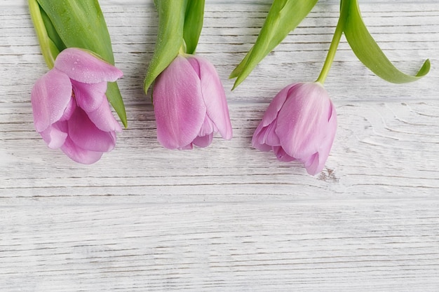 Tulipani viola sulla tavola di legno