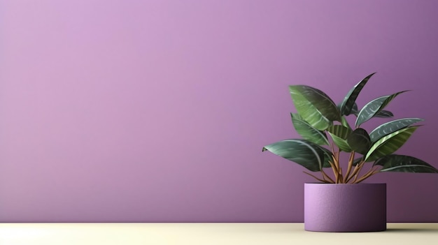 Фиолетовый фон с теней на стене