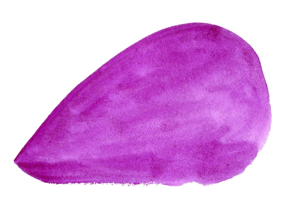 purple watercolor art hand paint on white background isolated