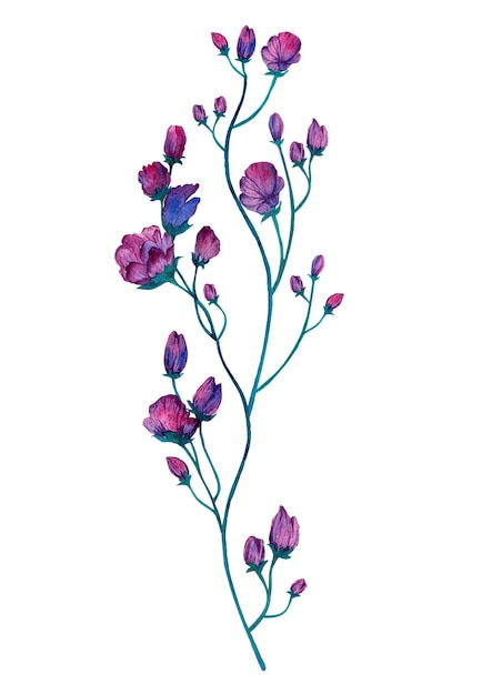 Фиолетовый акварель цветок круглый букет Довольно изолированные на белом фоне.