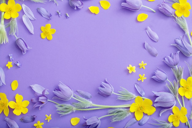 Purple and yellow spring  flowers on violet paper background