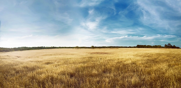 Photo puru kambera landscape