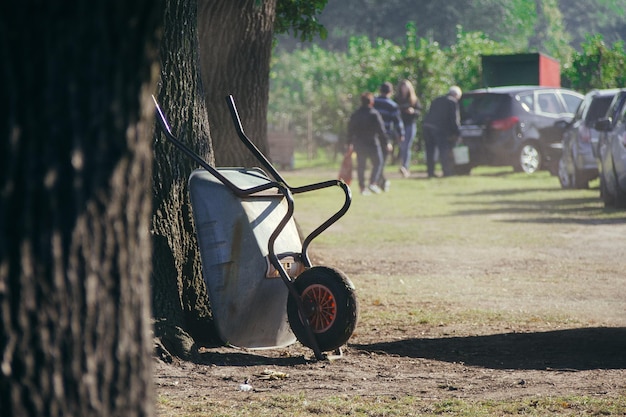 Photo push cart leaning on tree