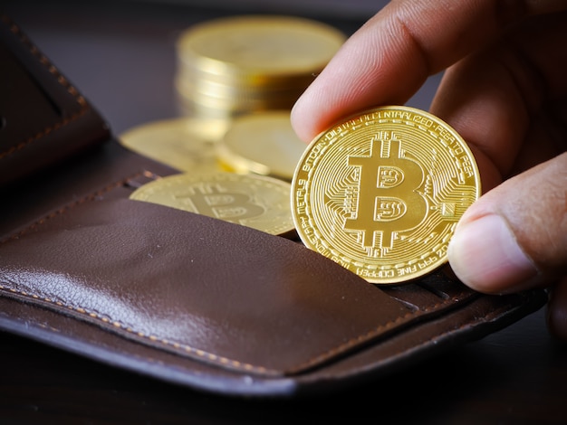 push golden bitcoins in to the leather wallet