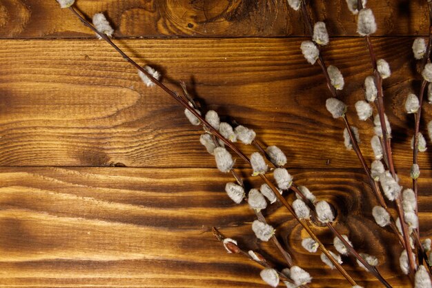 Pussy willow twigs on wooden background. Top view, copy space