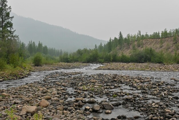 Putorana Plateau een bergbeek
