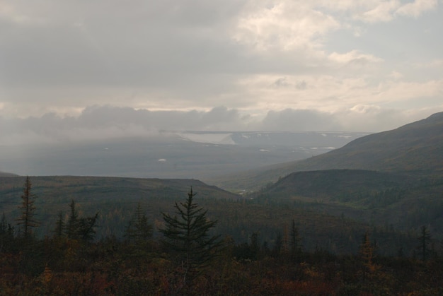 The Putorana plateau in the evening after the rain