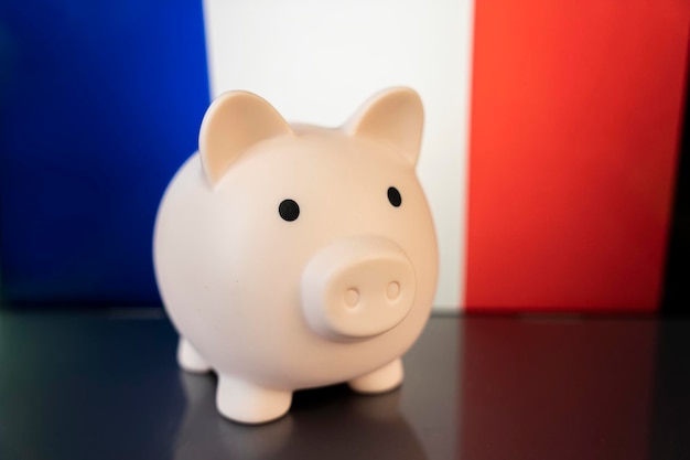Putting coin into the piggy bank Flag of France as background Concept of financial crisis and save money