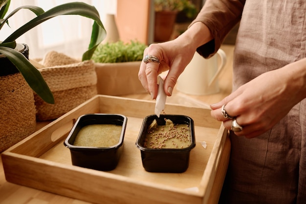 Photo putting seeds on hydrated sow material