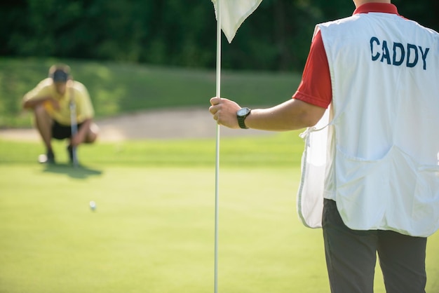 Photo putting