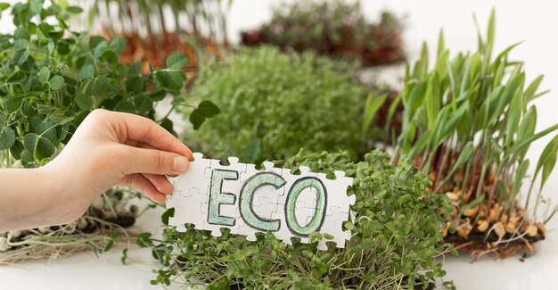 Puzzel met de inscriptie eco in handen op de achtergrond van microgreens