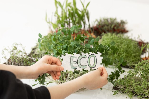 Photo puzzle with the inscription eco in hands on the background of microgreens